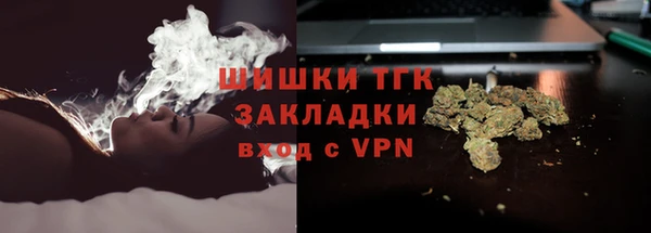 тгк Белокуриха