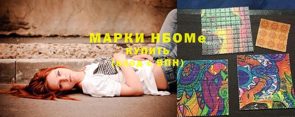 индика Снежинск