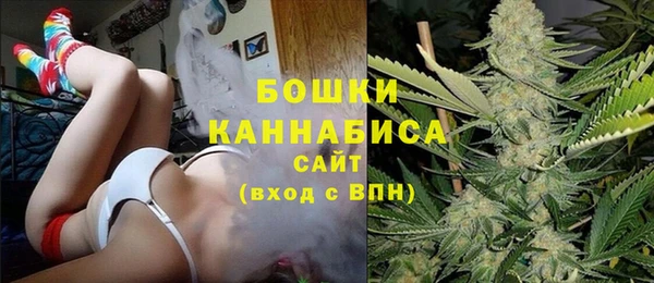 тгк Белокуриха