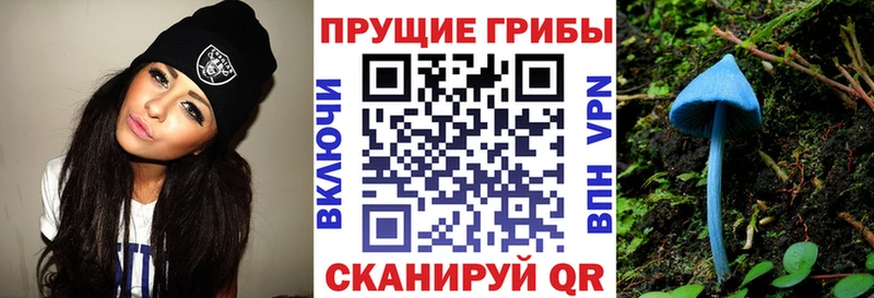 Псилоцибиновые грибы GOLDEN TEACHER  Киреевск 